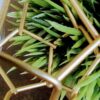 Gold Metal Boho Ornament - Image 3
